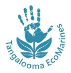 EcoMarines-logo-blue-
